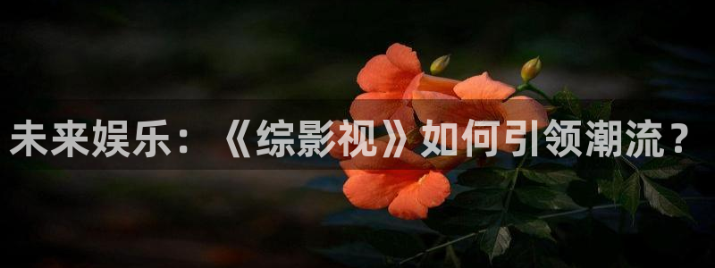 元宇宙轨道影院：未来娱乐：《综影视》如何引领潮流？