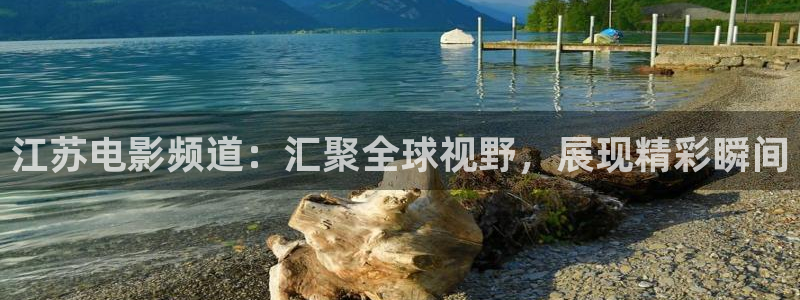 轨道影院设备生产商：江苏电影频道：汇聚全球视野，展现精彩瞬间