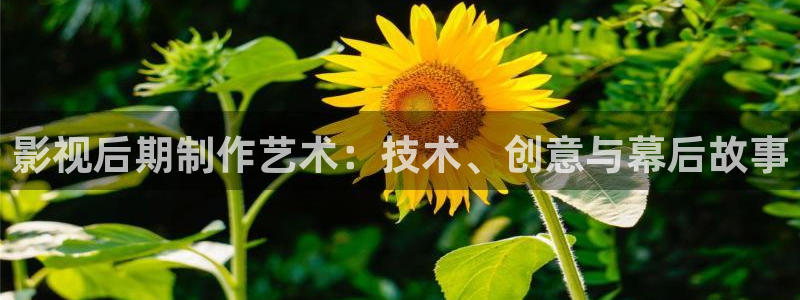 轨道影院有前景吗：影视后期制作艺术：技术、创意与幕后故事