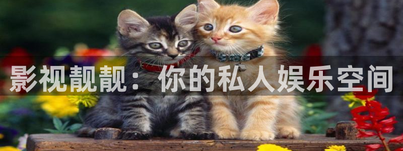 轨道5d影院：影视靓靓：你的私人娱乐空间