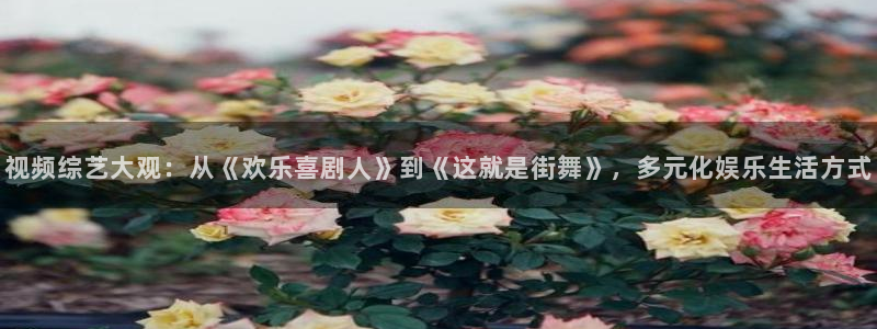 基本轨道电影：视频综艺大观：从《欢乐喜剧人》到《这就是街舞》，多元化娱乐生活方式