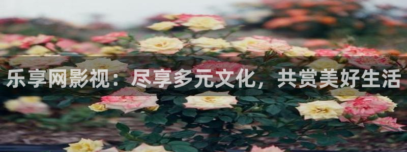 轨道影院av：乐享网影视：尽享多元文化，共赏美好生活